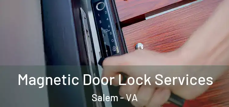 Magnetic Door Lock Services Salem - VA